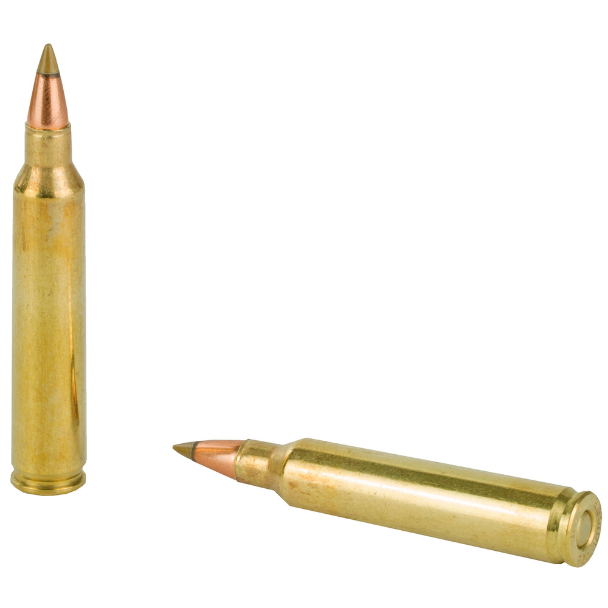 Remington Premier AccuTip 204 Ruger 32 Grain AccuTip 20 Round Box (29218) — Precision Varmint Ammo - Image 3