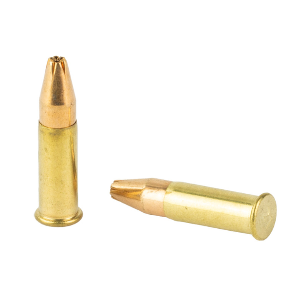 Winchester Target & Varmint Super-X 21 SHARP 34 Grain Lead Jacketed Hollow Point 100 Round Box (X21JHP) — Precision Varmint Ammo - Image 3