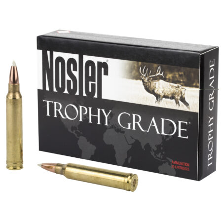 Nosler 300 Winchester 180gr Ab