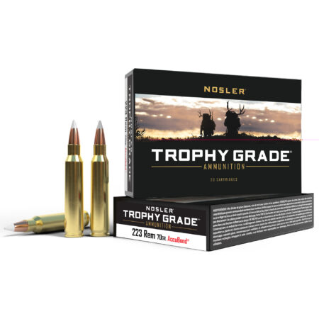Nosler Tg 223 Remington 70gr Ab