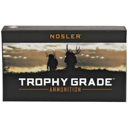 Nosler Tg 243 Winchester 100gr Pt