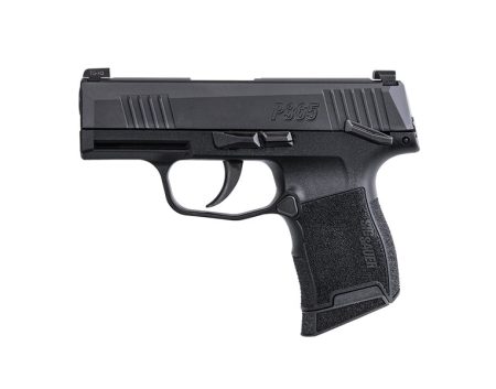 SIG SAUER - SIG SAUER P365 380 ACP Semi-Auto Pistol with Nitron Finish and SIGLITE Night Sights